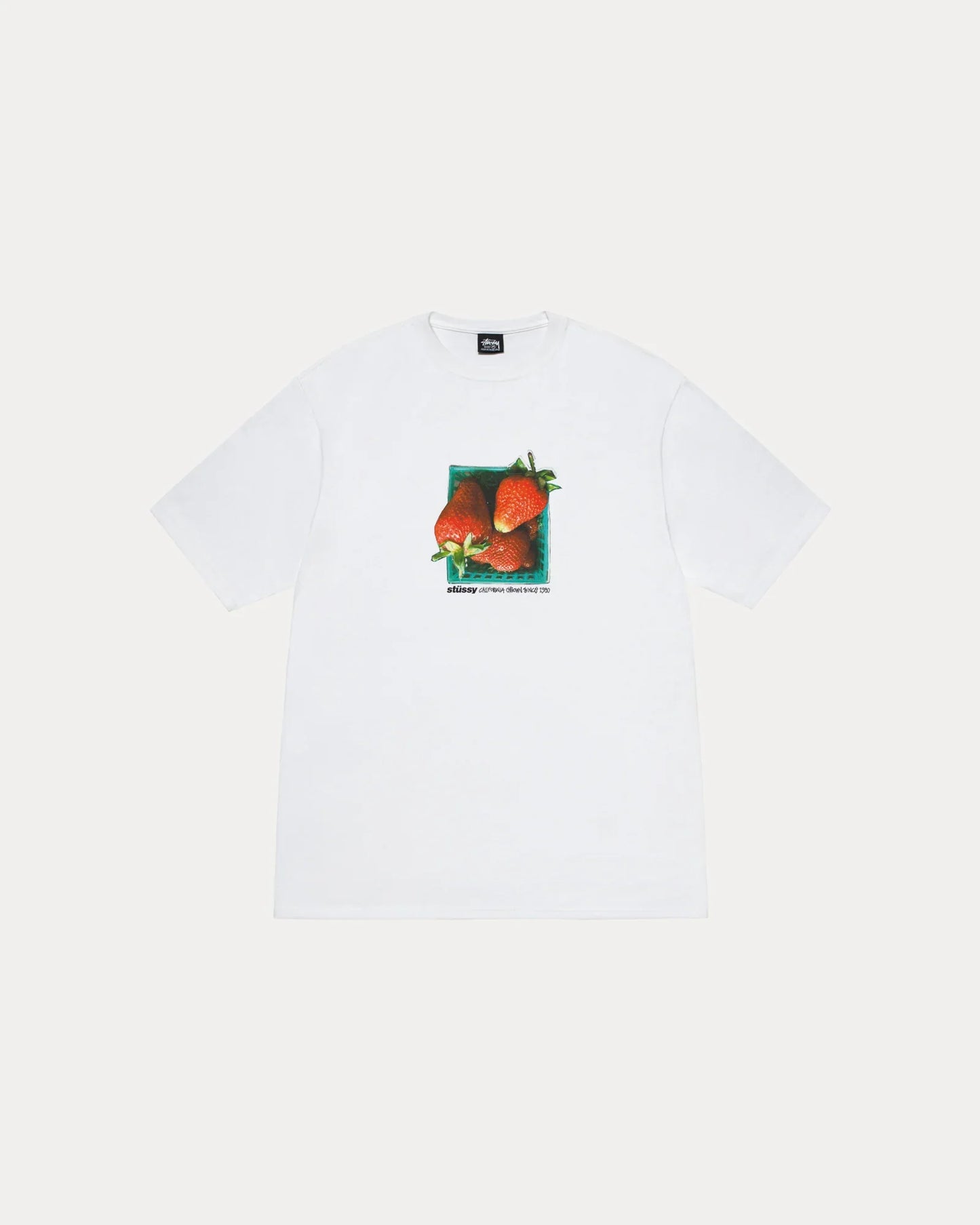 STUSSY BERRIES TEE