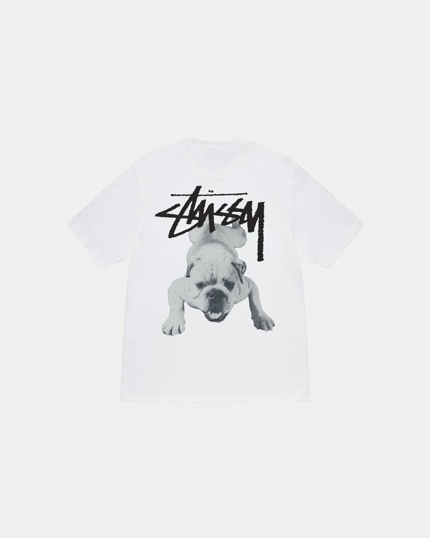 STUSSY STOCK DOG TEE
