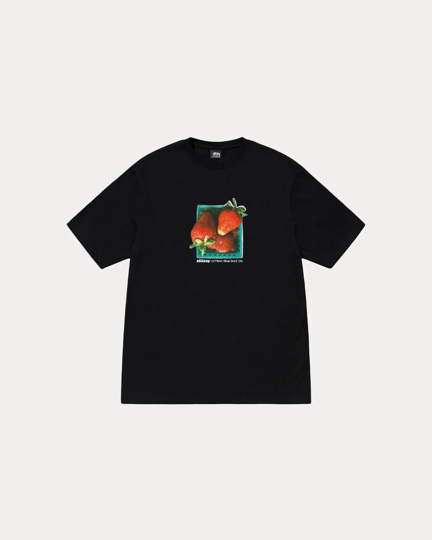 STUSSY BERRIES TEE