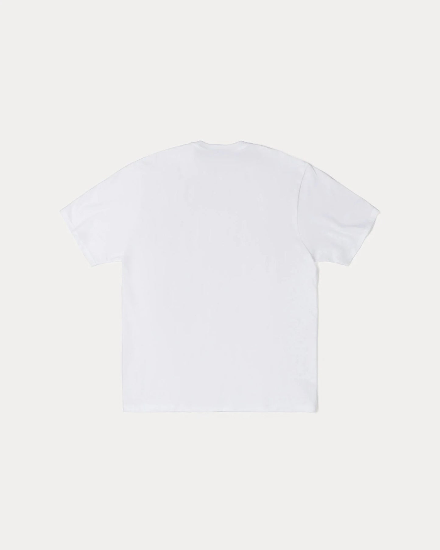 STUSSY SPEEDWAY TEE